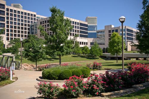 得克萨斯州立大学图片
