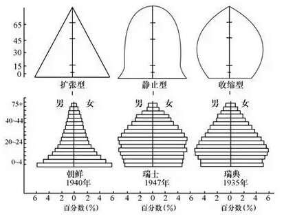 人口年龄结构金字塔图_人口年龄结构金字塔图的判读(3)