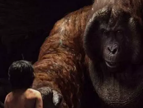 2016年看《奇幻森林》学习托福词汇