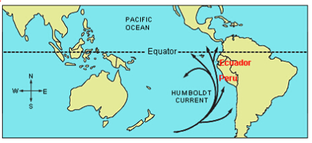 TPO42阅读文本及答案解析