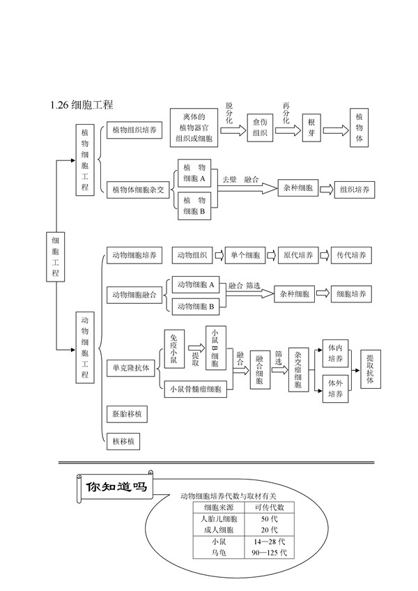 高中 高考生物 备考资料 > 正文【0.
