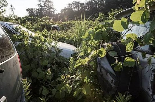 福岛核泄露 世界末日