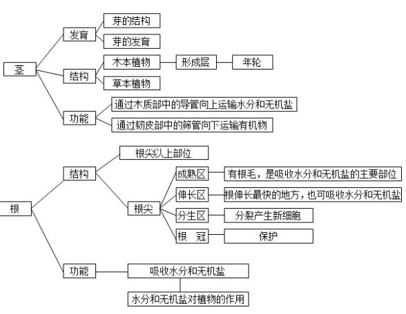 2018中考生物知識點結構圖生物圈中的綠色植物