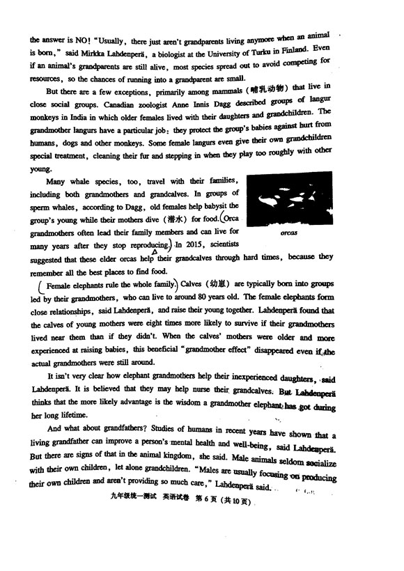 2019北京西城区中考一模英语试卷及答案