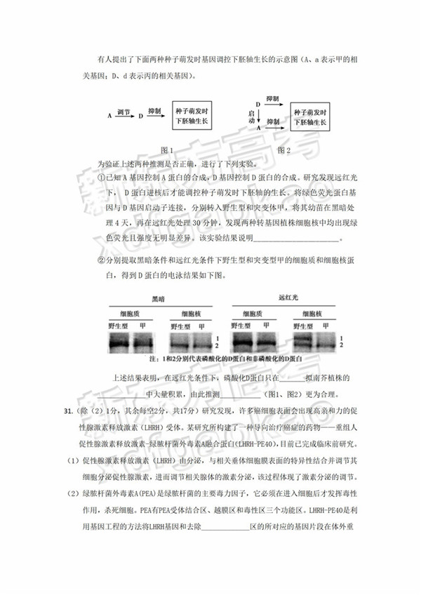 2019北京顺义区高三二模理综试题及答案