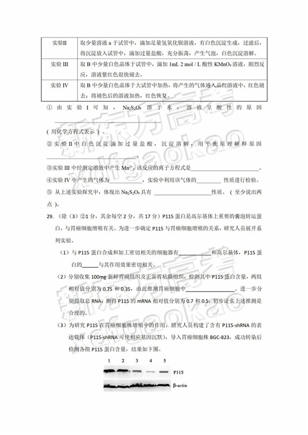 2019北京顺义区高三二模理综试题及答案 2019北京顺义区高三二模理综试题及答案