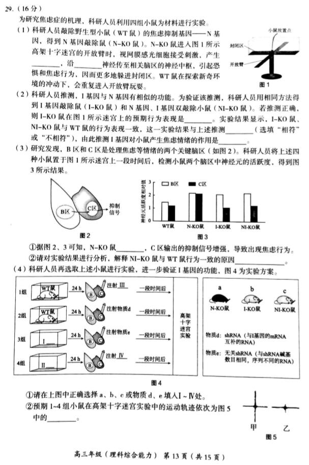 2019北京海淀区高三二模理综试题及答案