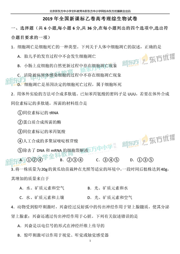 2019全国卷一高考生物试题及答案