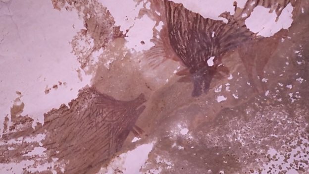 World’s oldest known cave art 世界上已知最古老的洞穴壁画
