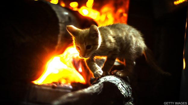 Cat saved from fire using an animal oxygen mask 用动物氧气面罩从大火