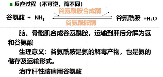 氨的运转