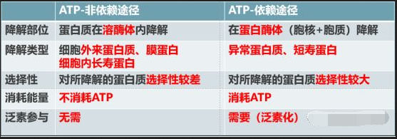 考研西综知识点总结