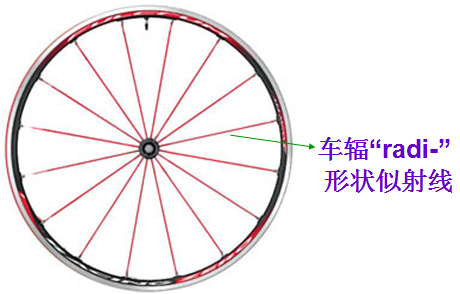 托福词汇高效记忆"radi-车辐,射线"